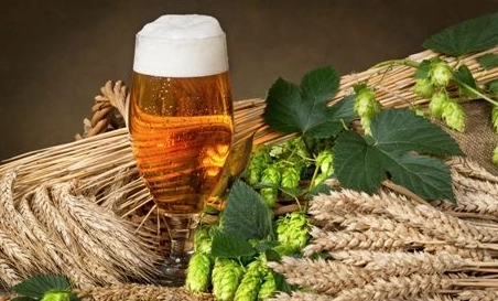 精釀啤酒中，如何選擇恰當?shù)慕湻椒ǎ?> </a>
    </dt> 
    <dd> 
     <h4><a href=